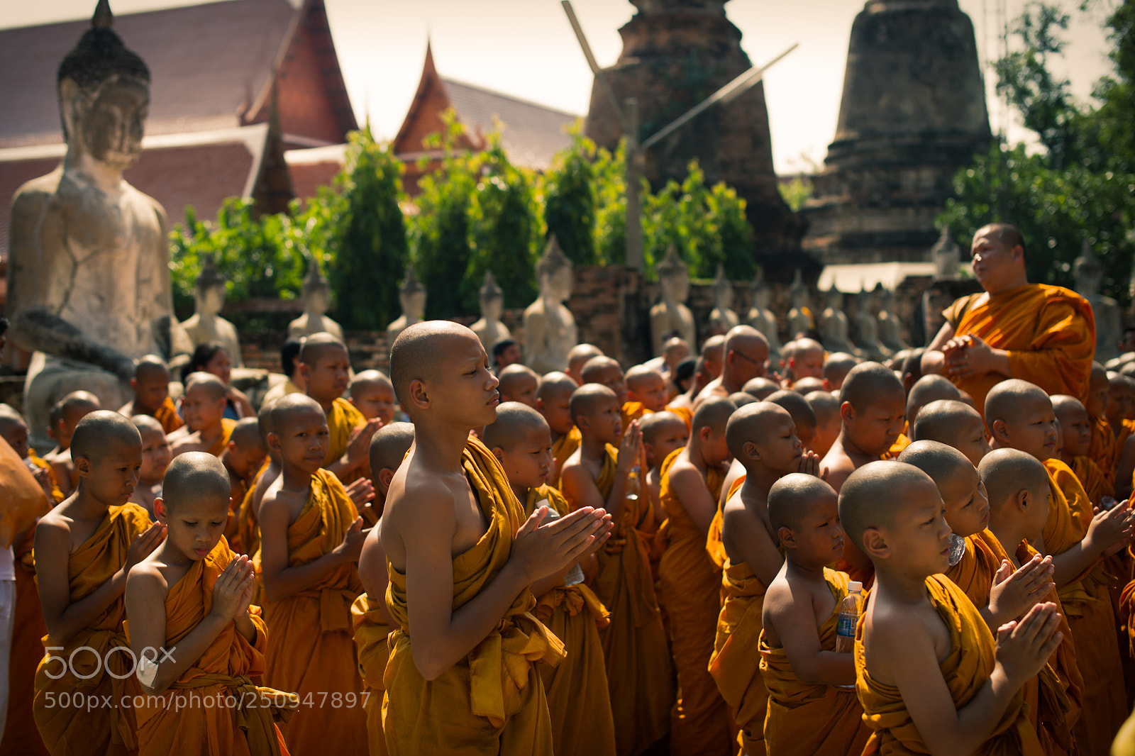 Nikon Df sample photo. Little monk in the photography