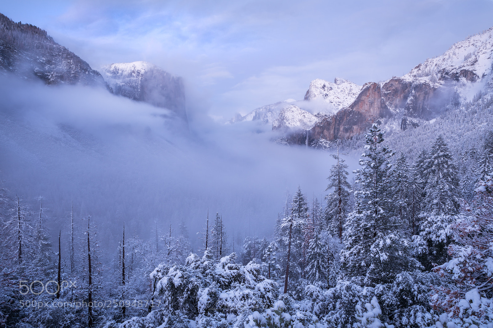Canon EOS 5D Mark IV sample photo. Winter impression photography