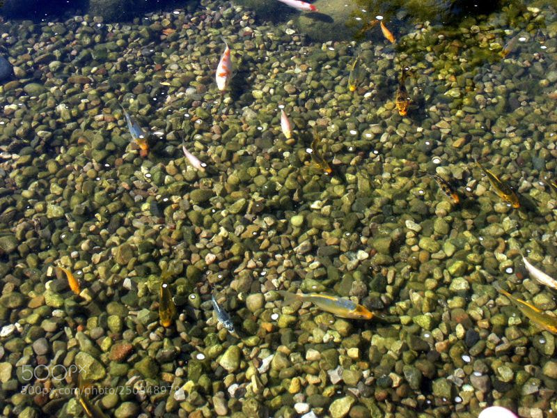KONICA MINOLTA DiMAGE 7i sample photo. Dcf 1.0 photography