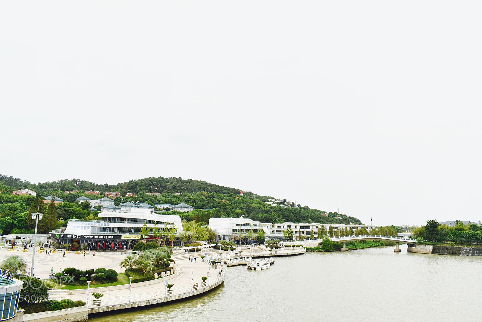 Nikon D5600 sample photo. ( ) photography