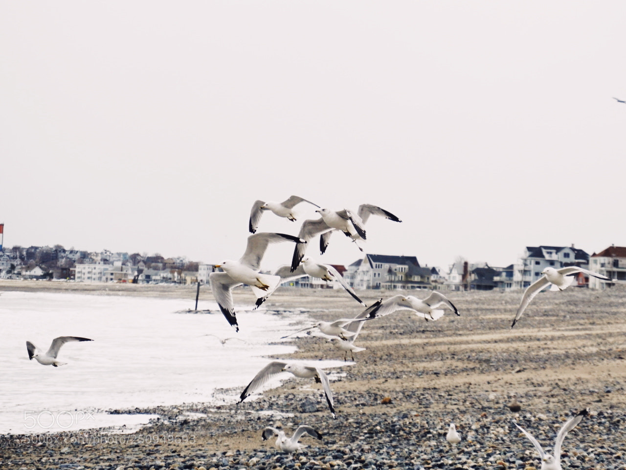 Sony a6000 sample photo. Untitled photography