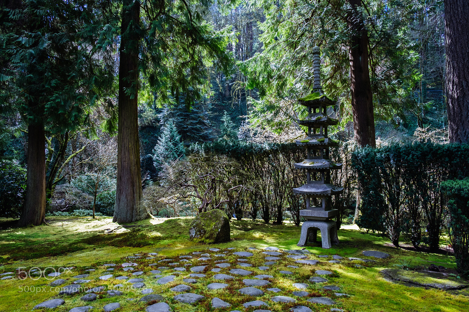 Fujifilm X-T2 sample photo. Radiant japanese garden photography