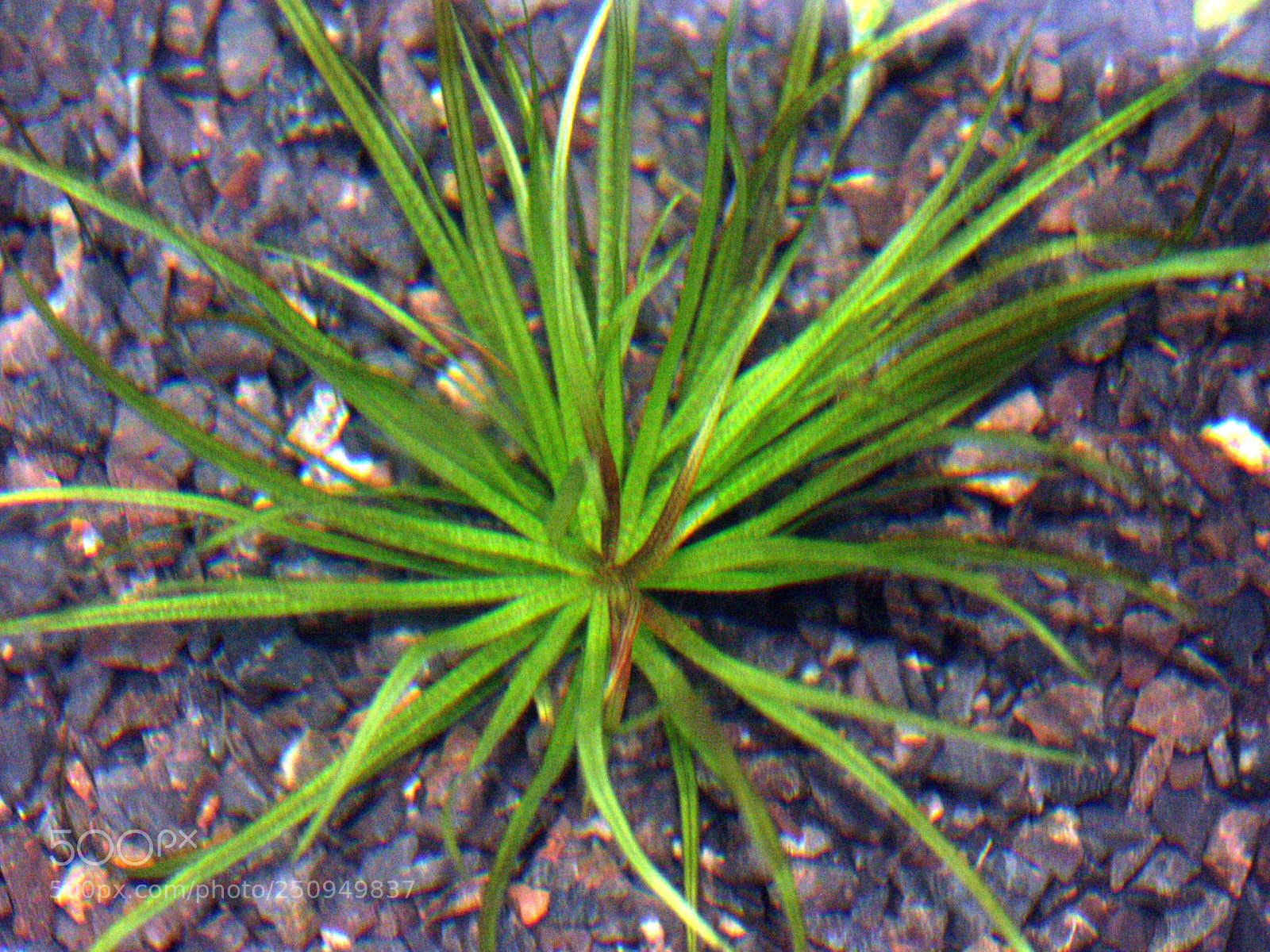 KONICA MINOLTA DiMAGE 7i sample photo. Dcf 1.0 photography