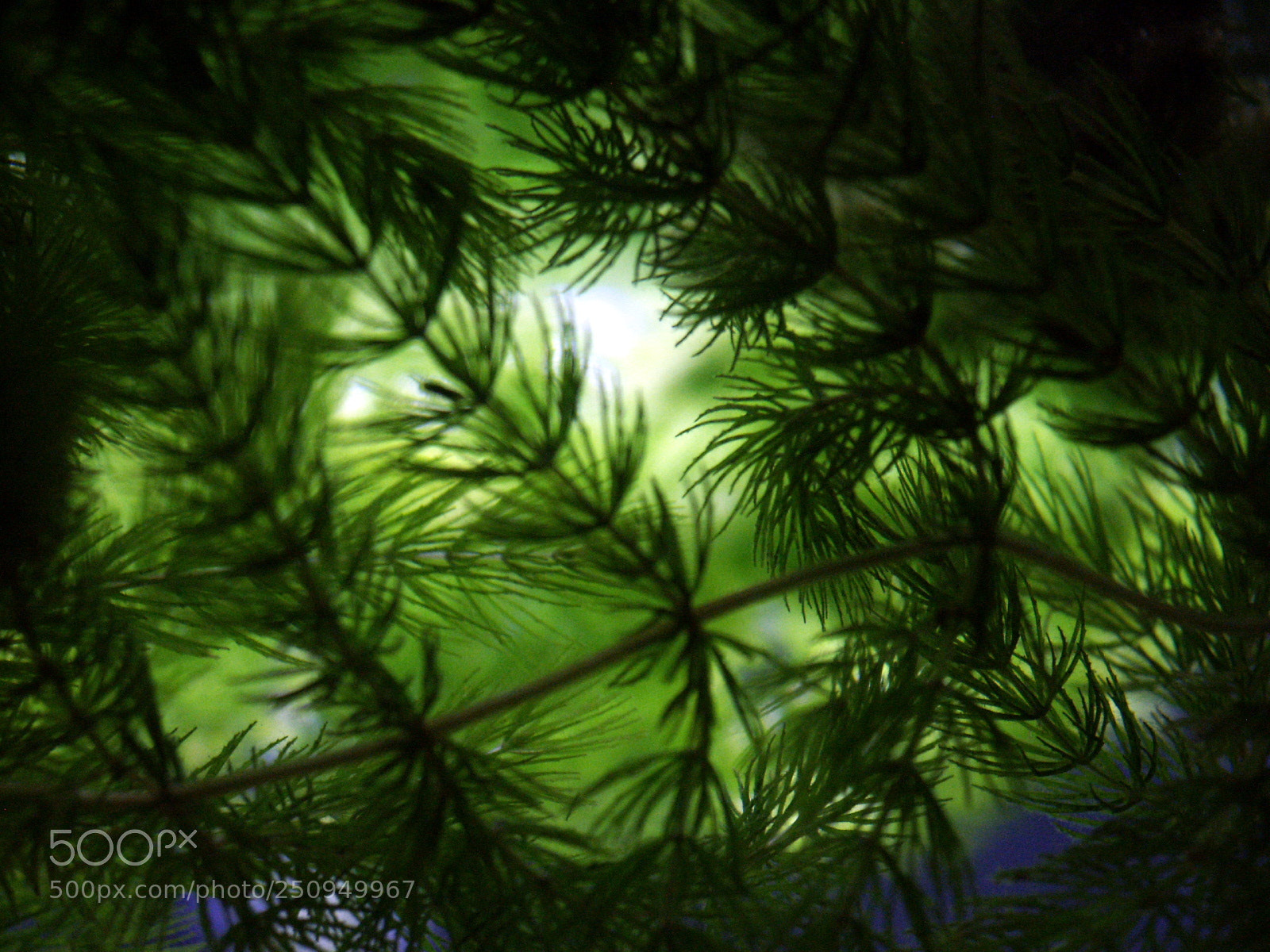 KONICA MINOLTA DiMAGE 7i sample photo. Dcf 1.0 photography
