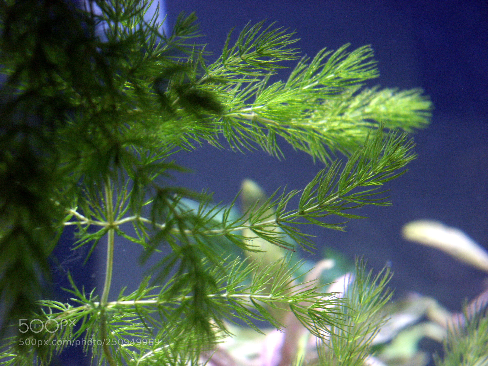 KONICA MINOLTA DiMAGE 7i sample photo. Dcf 1.0 photography