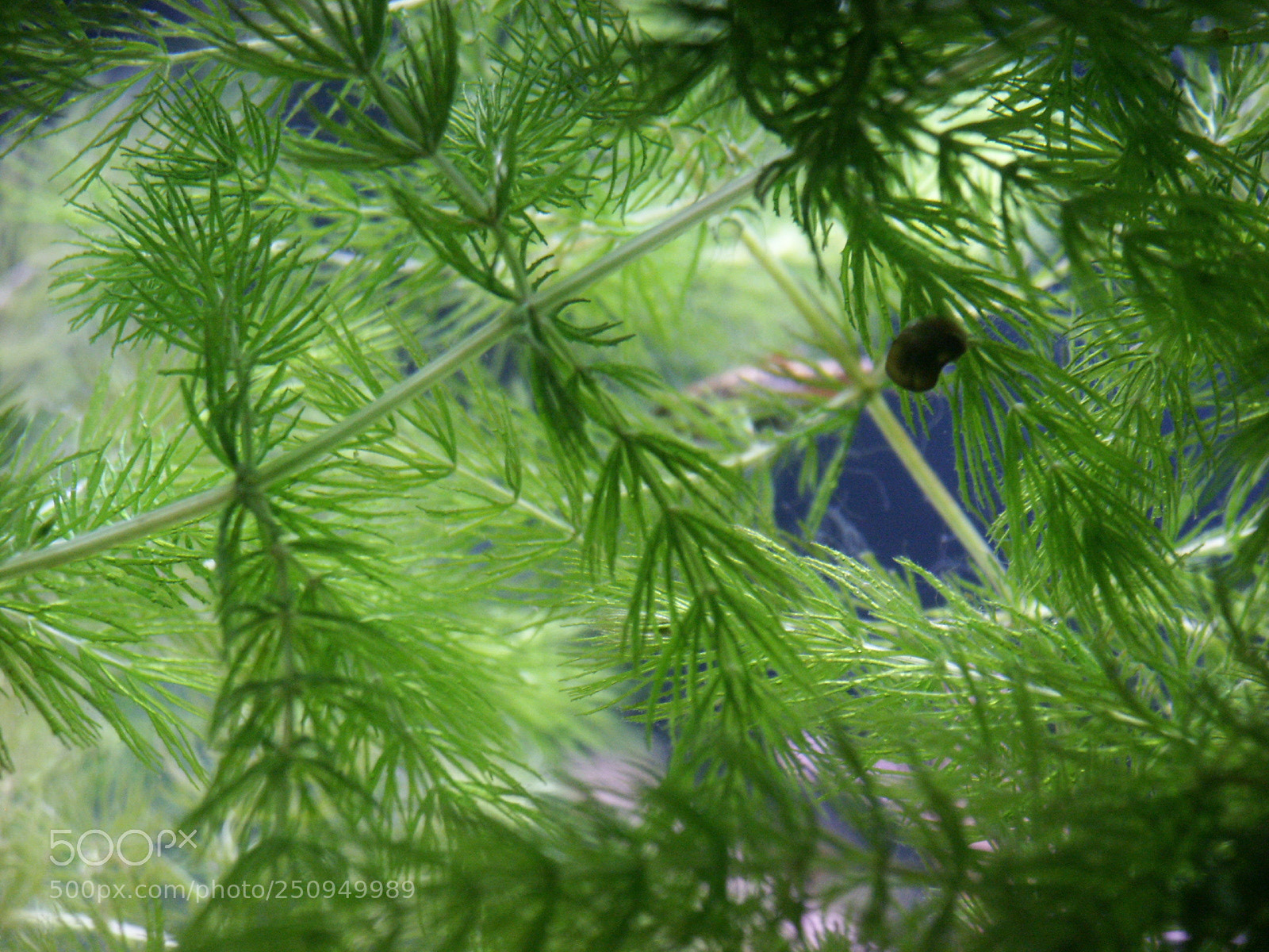 KONICA MINOLTA DiMAGE 7i sample photo. Dcf 1.0 photography