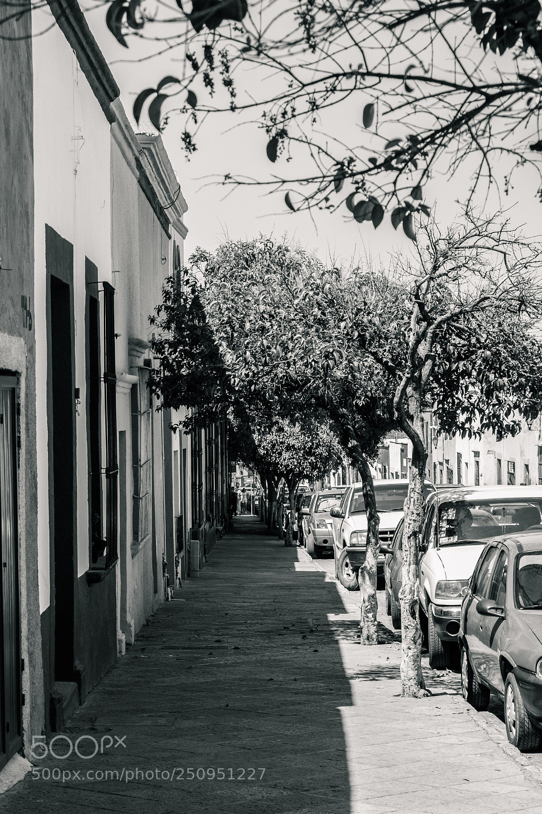Canon EOS 70D sample photo. Las calles de queretaro photography