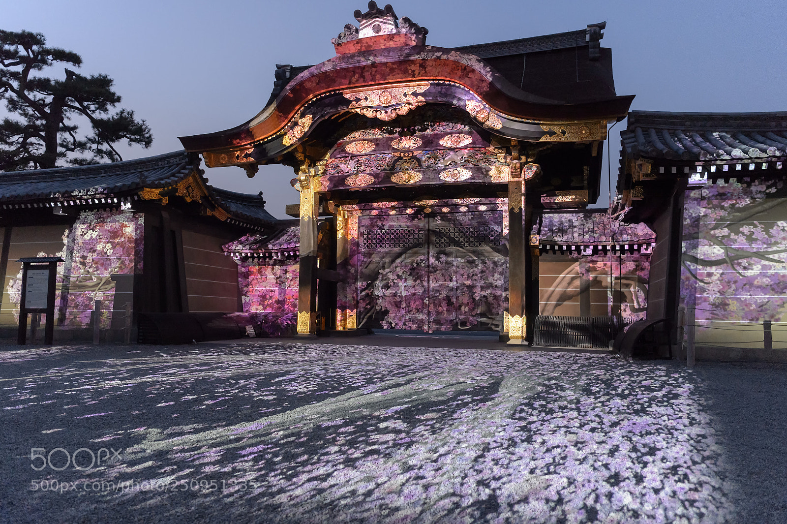 Nikon D4S sample photo. Projection mapping nijyo castle photography