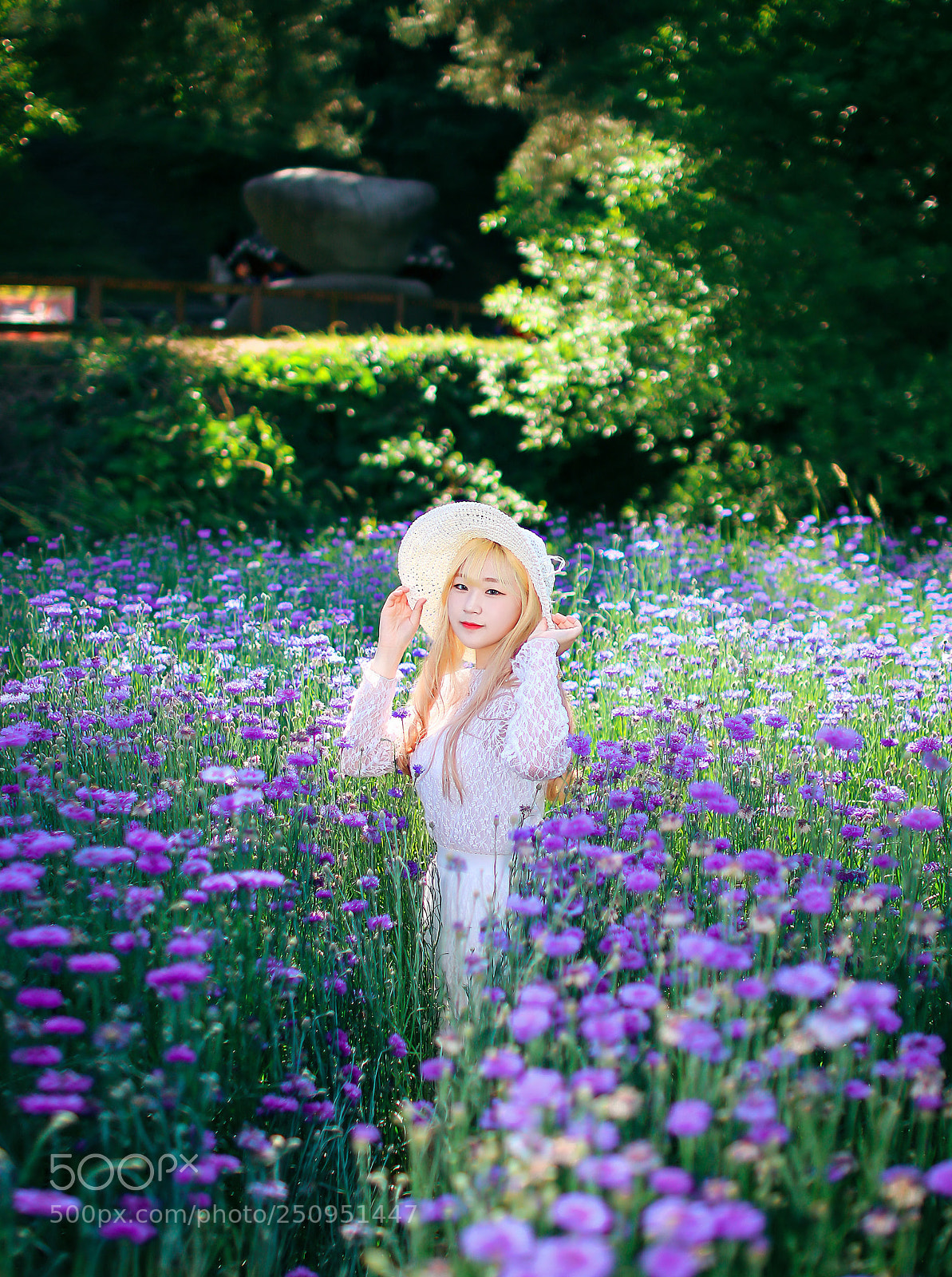 Canon EOS 7D Mark II sample photo. Lavender photography