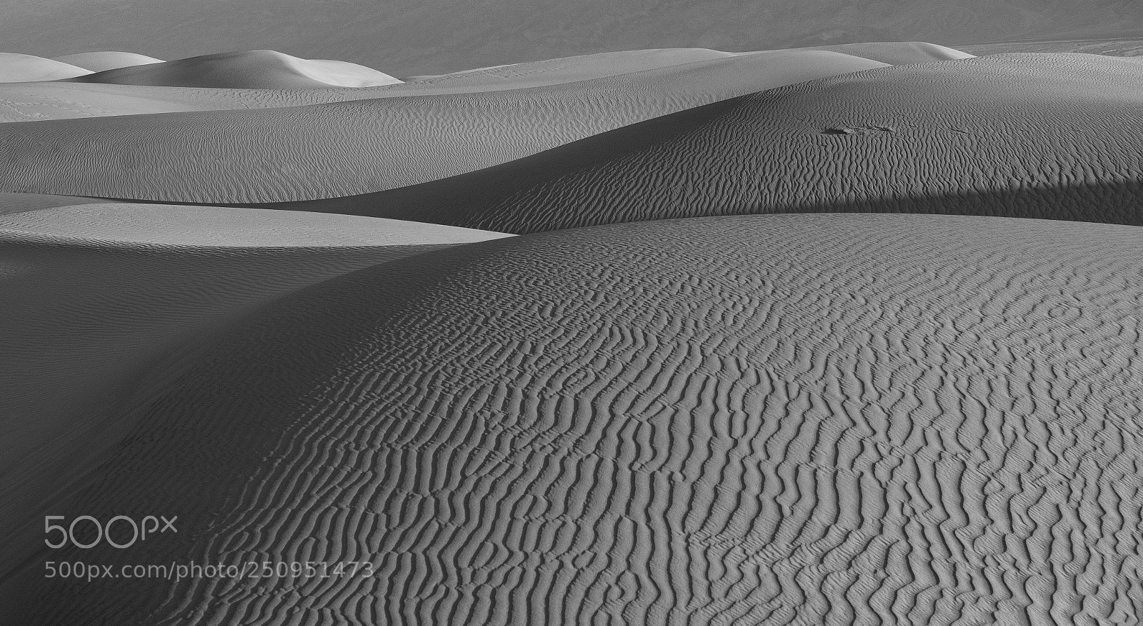 Fujifilm X-T20 sample photo. Desert glory photography