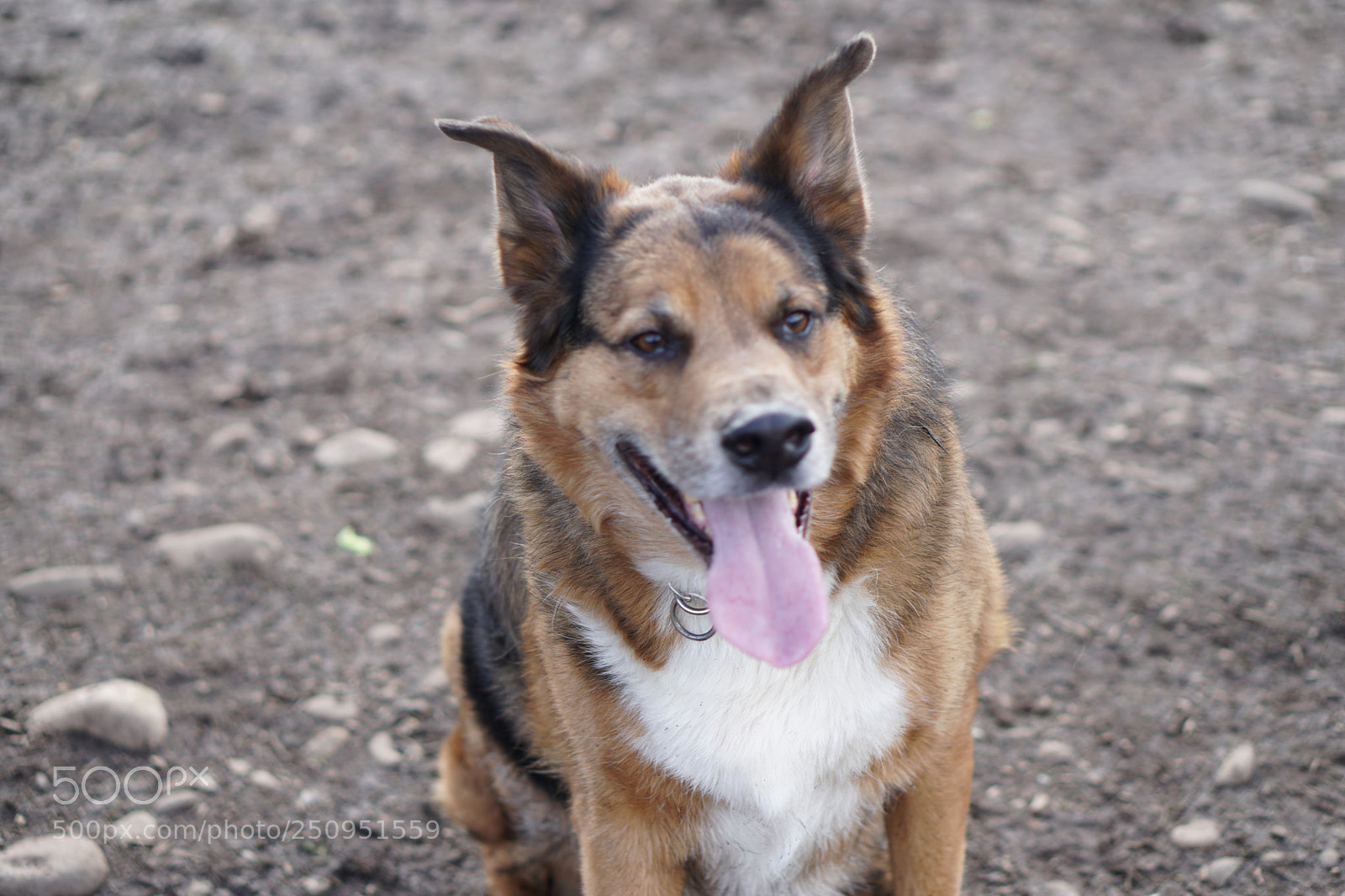 Sony a6500 sample photo. Dsc photography
