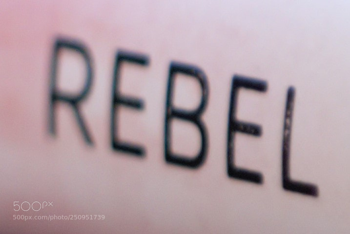 Nikon D60 sample photo. Rebel photography