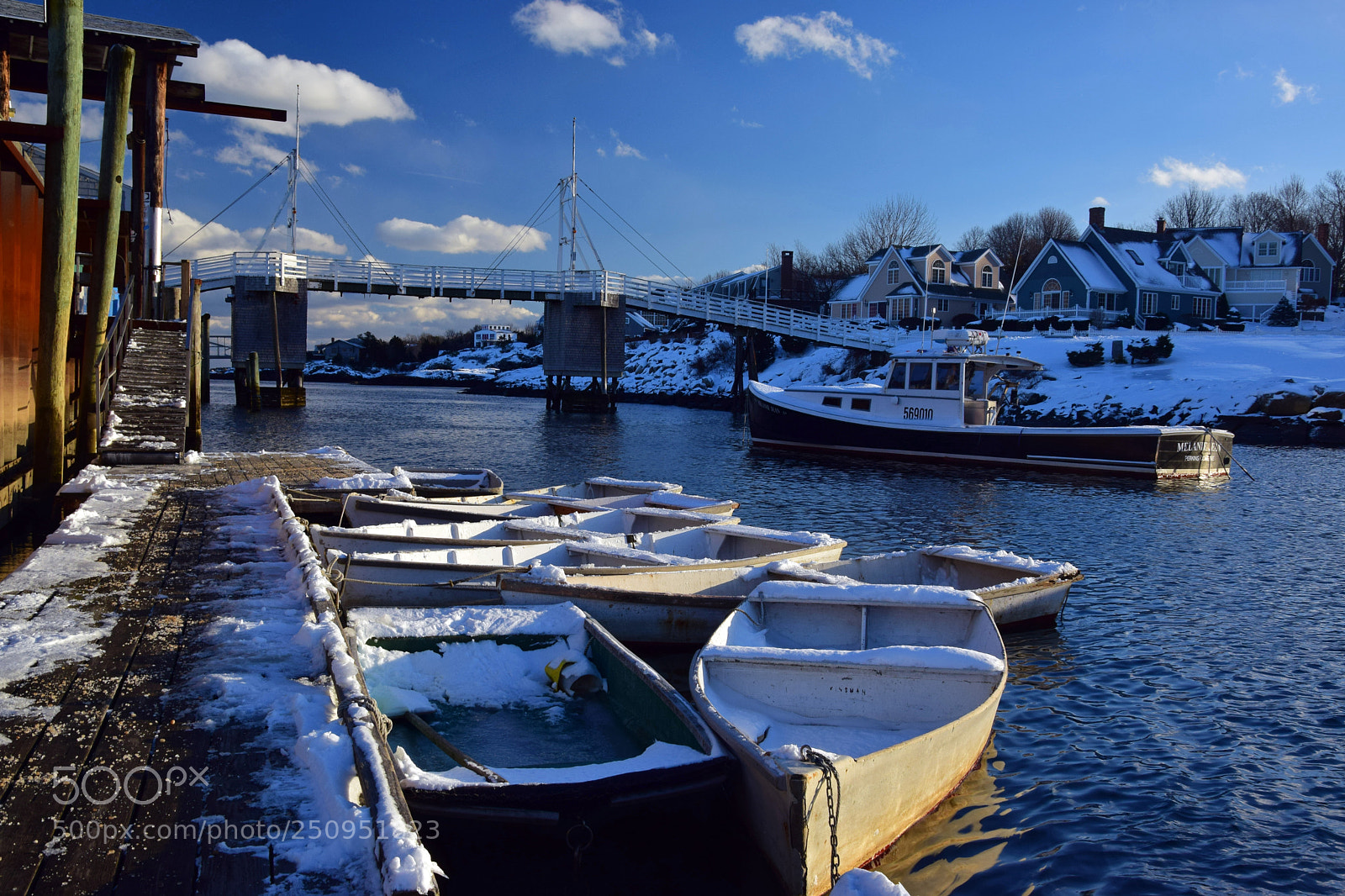 Nikon D5300 sample photo. Frozen frigots photography