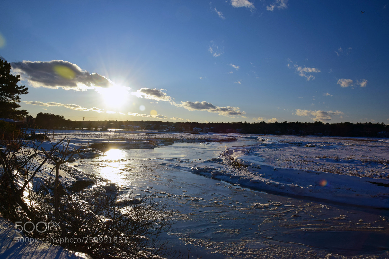 Nikon D5300 sample photo. Frozen wetlands photography