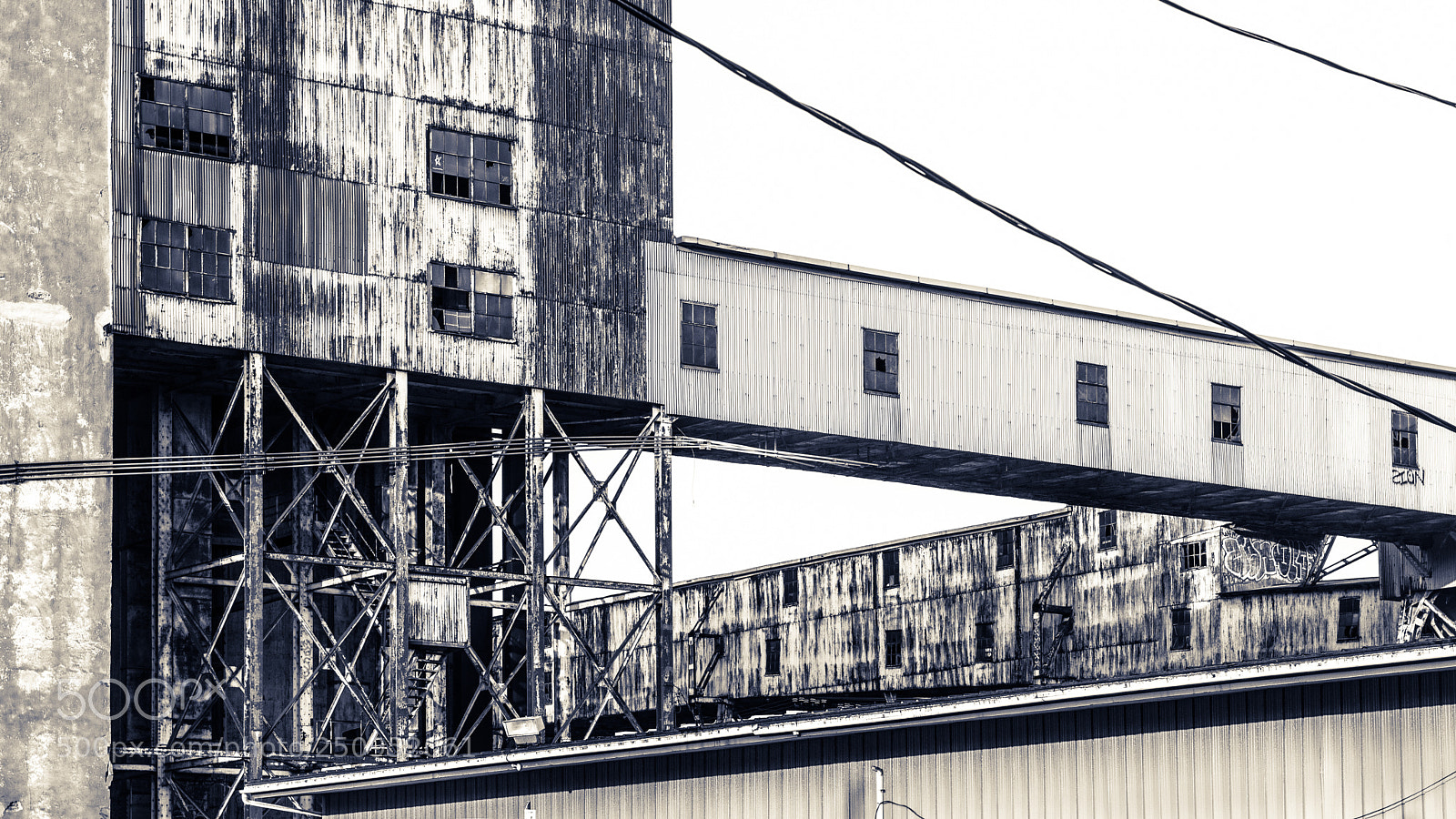 Nikon D800 sample photo. Factory photography