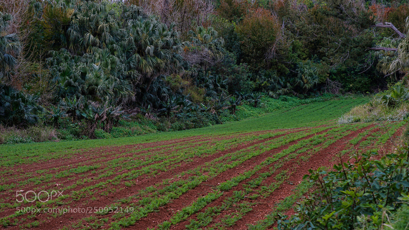 Sony a6000 sample photo. Rual life photography