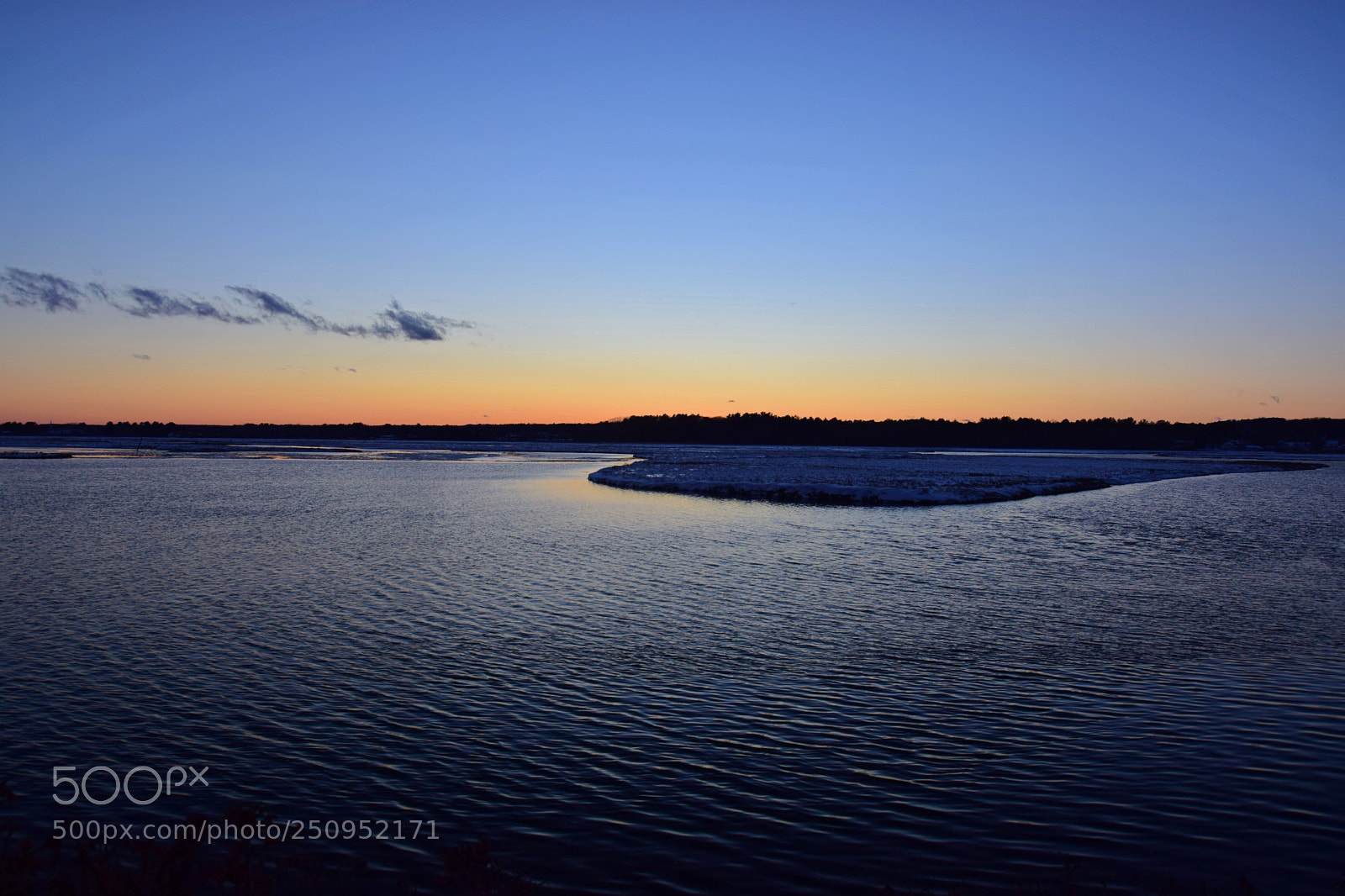 Nikon D5300 sample photo. Frozen wetlands ii photography