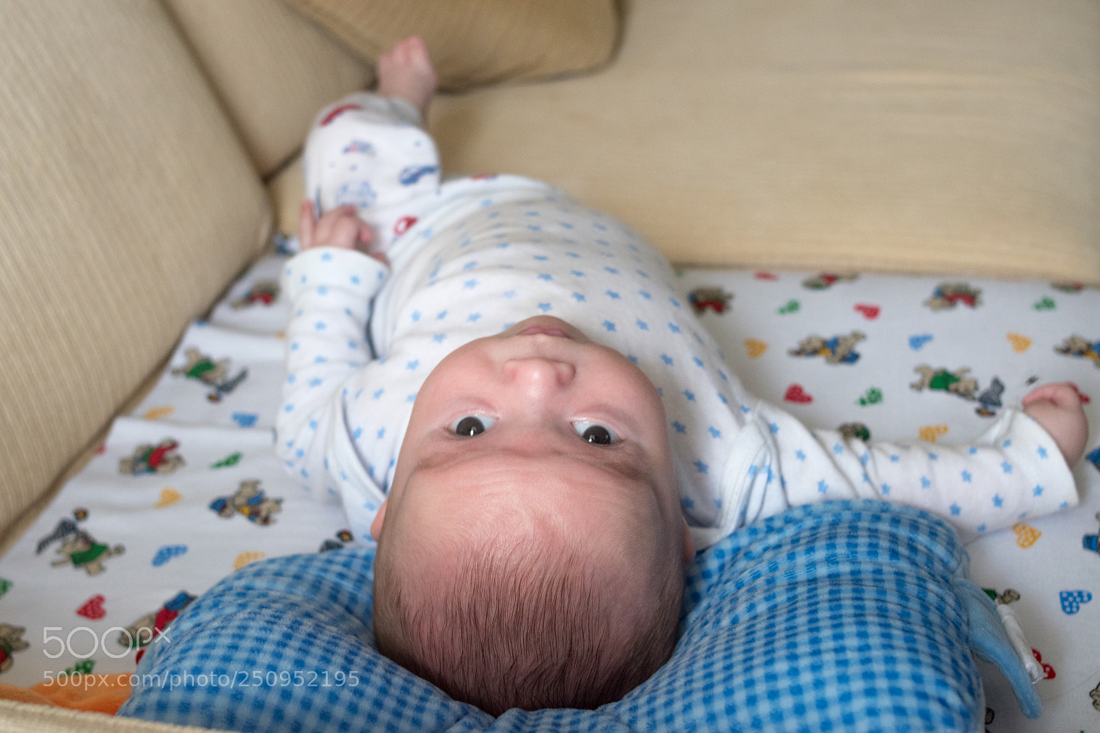 Nikon D5600 sample photo. Olha a foto filho!!! photography