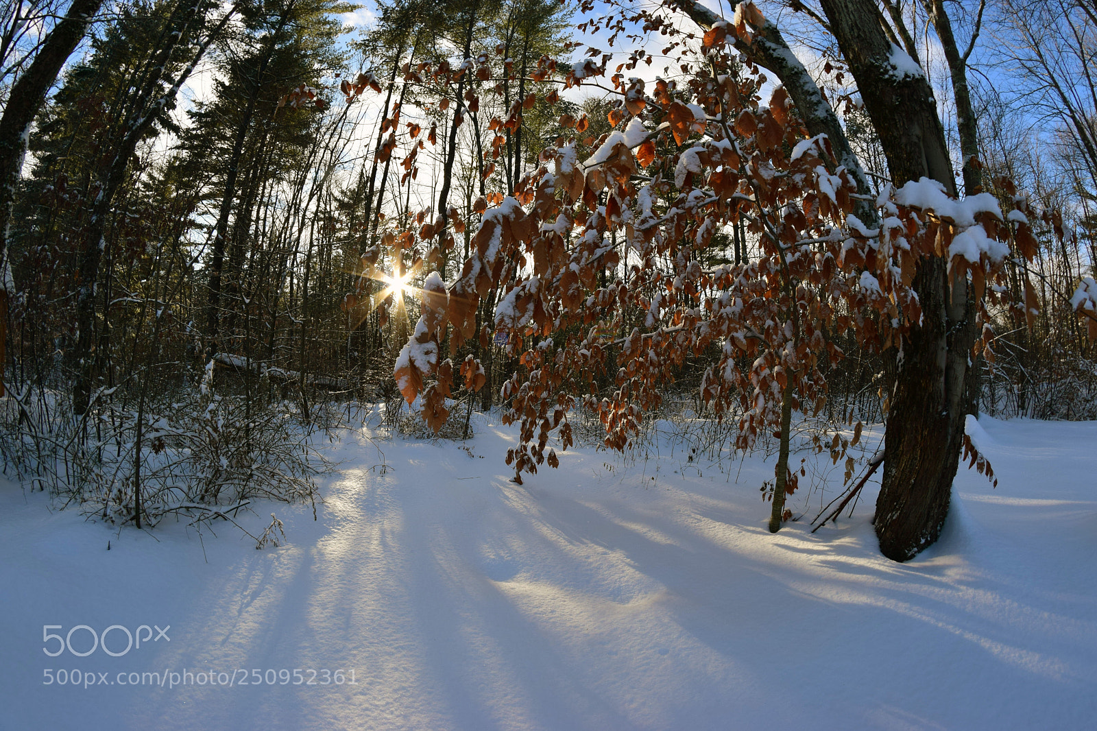 Nikon D5300 sample photo. Winter wilderness photography