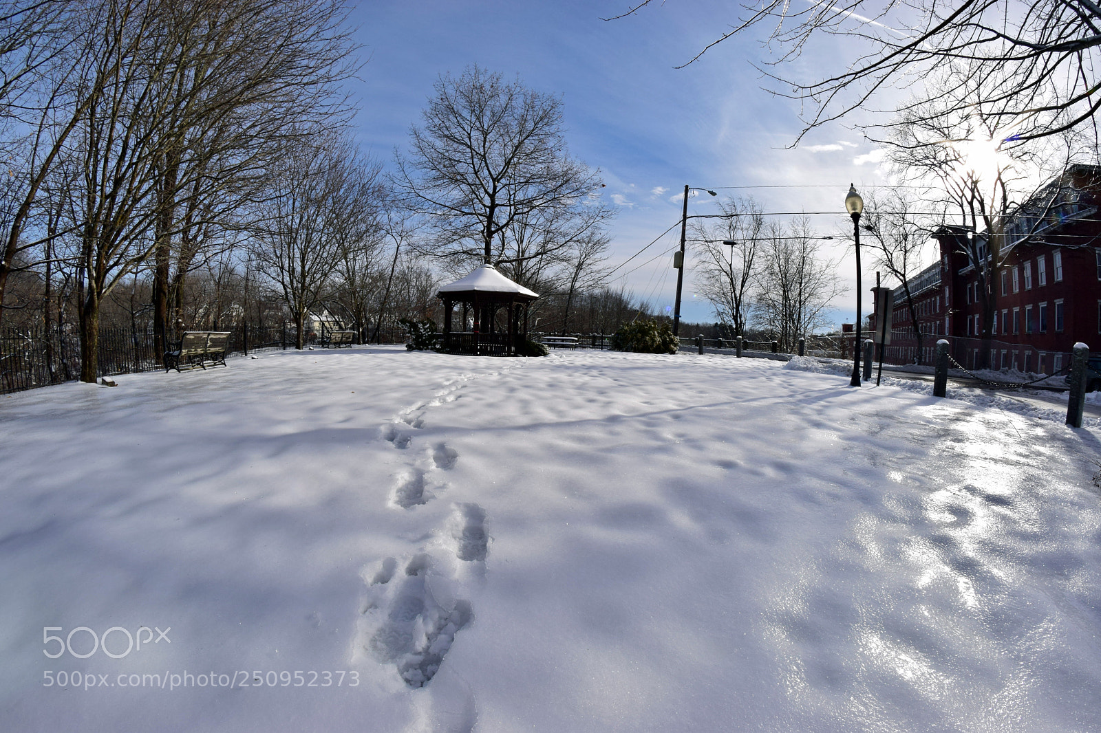 Nikon D5300 sample photo. Frozen footprints photography