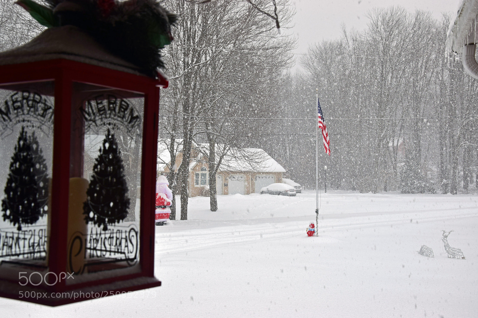 Nikon D5300 sample photo. White christmas photography