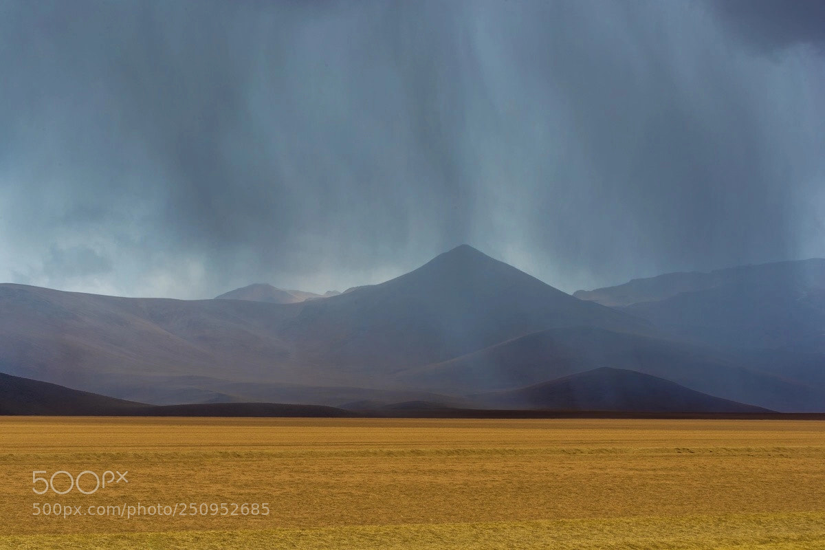 Canon EOS-1D X Mark II sample photo. Rain - dali desert photography