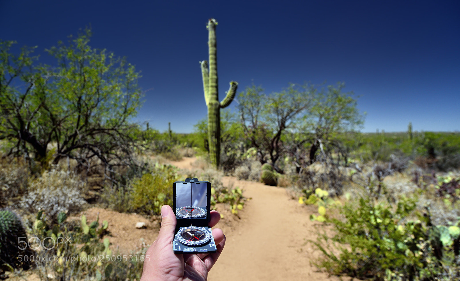Nikon D800E sample photo. Finding the way photography