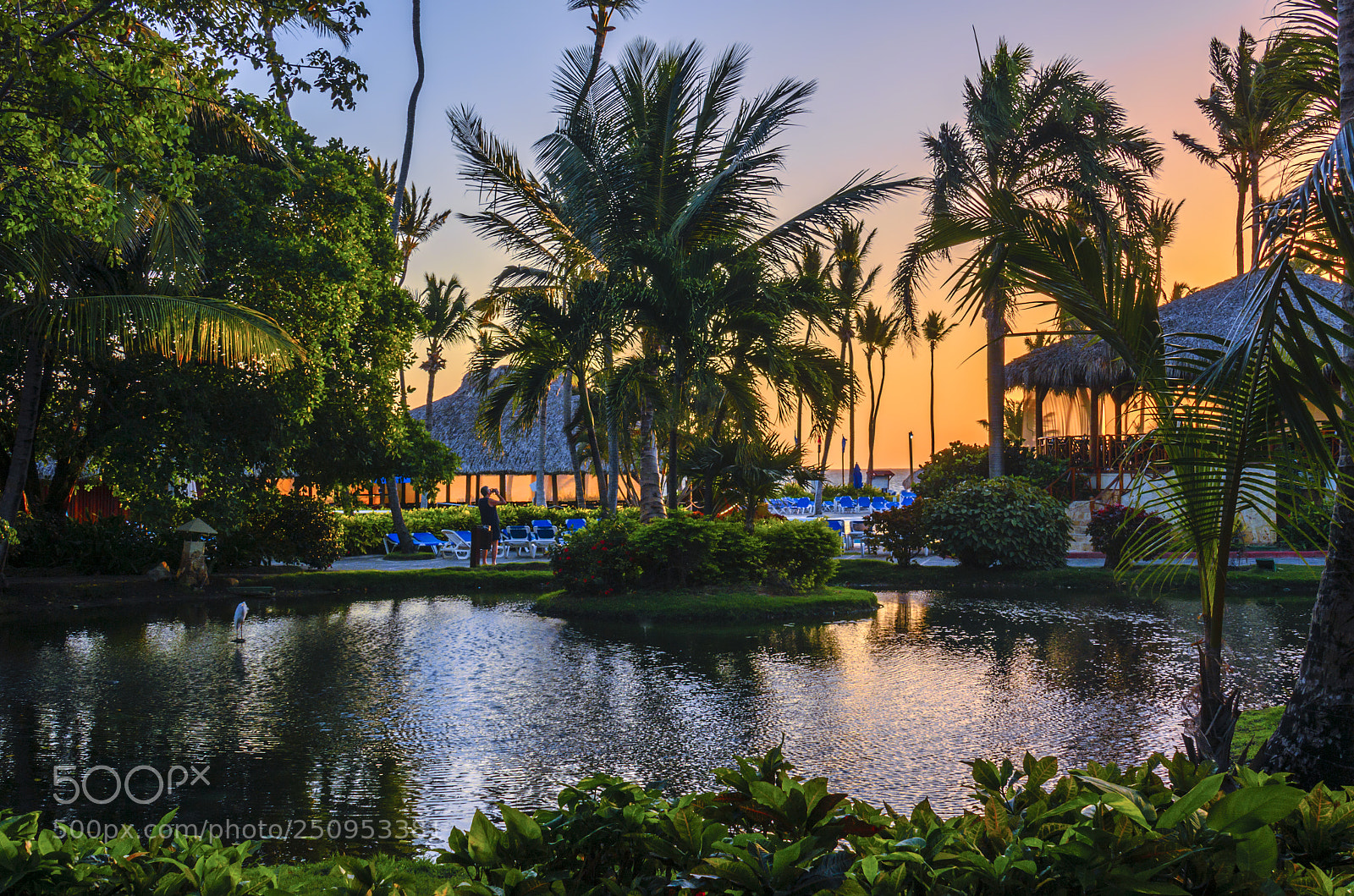 Nikon D5100 sample photo. Magic sunrise in natura photography