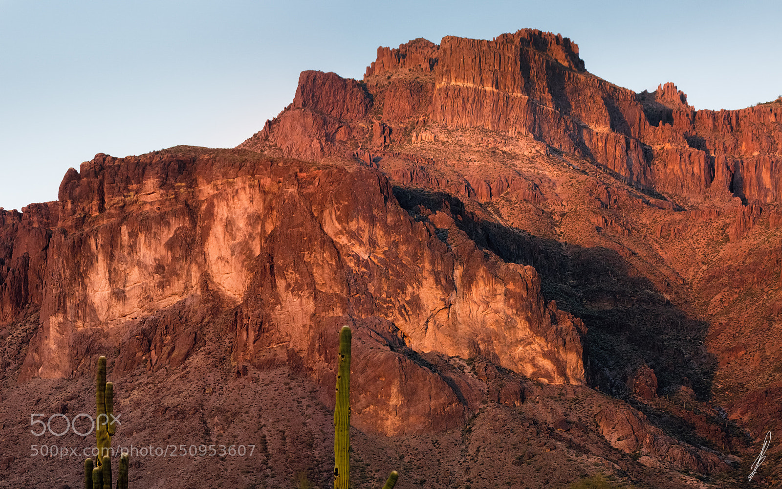 Canon EOS 7D sample photo. Superstition cougar shadow photography