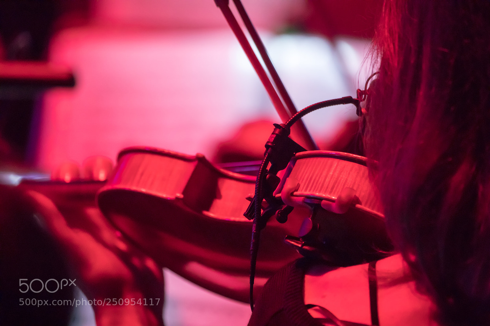 Canon EOS 5D Mark IV sample photo. Go photography