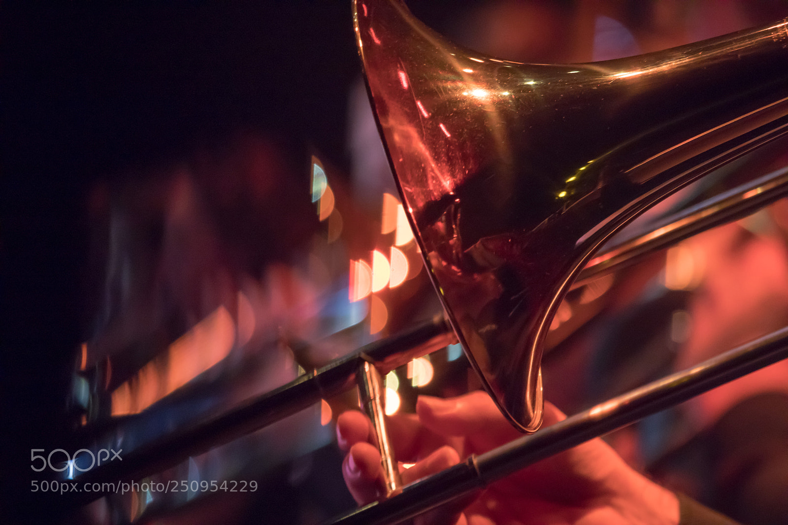 Canon EOS 5D Mark IV sample photo. Go photography