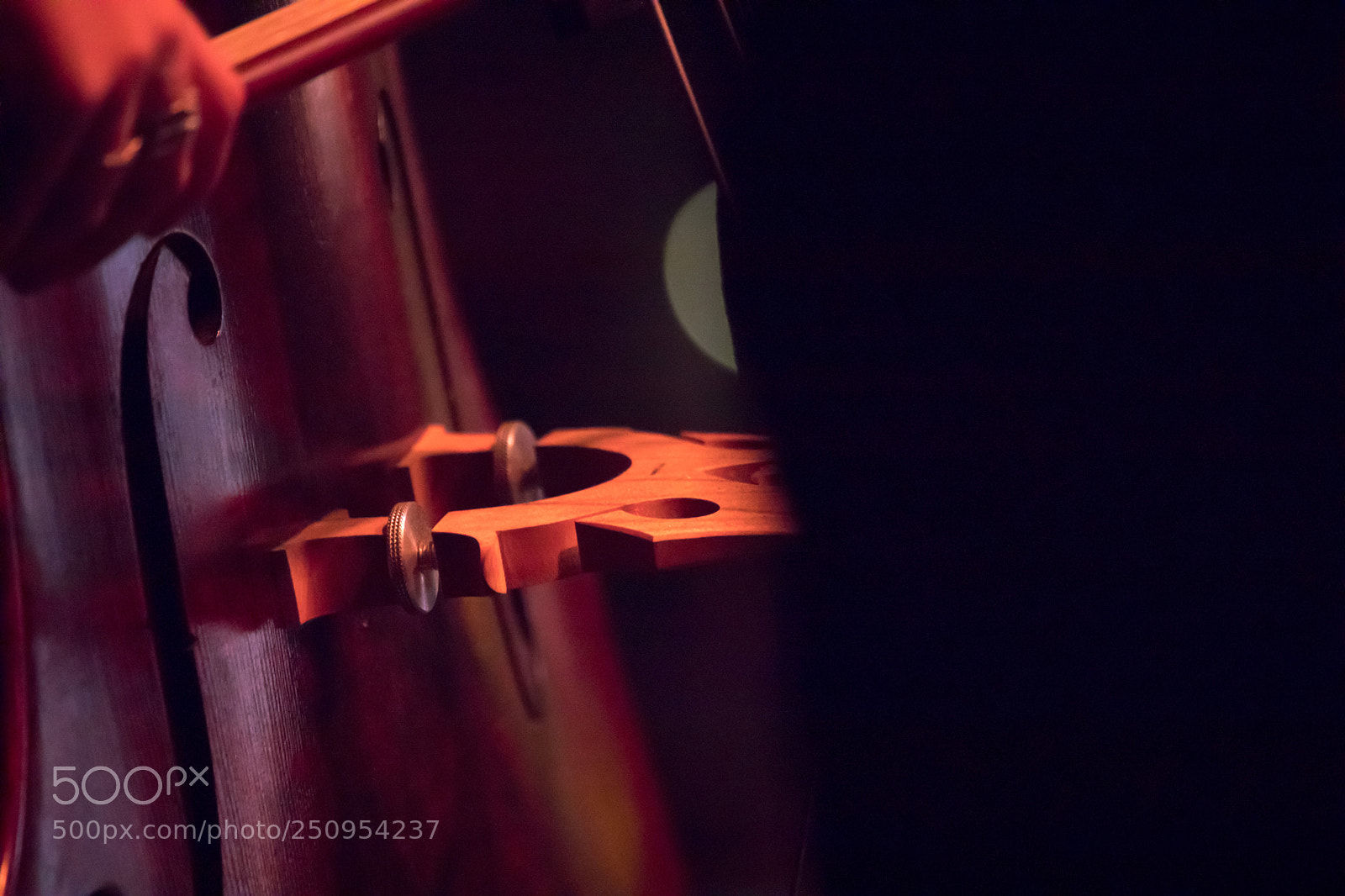 Canon EOS 5D Mark IV sample photo. Go photography
