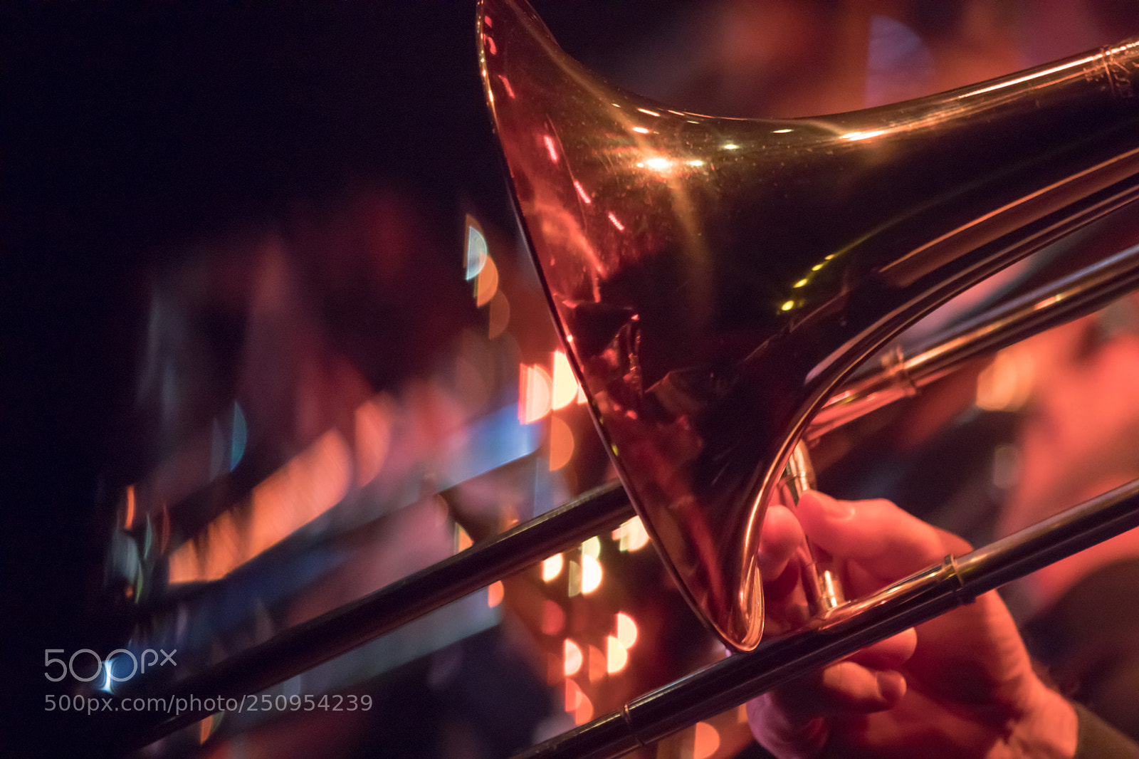 Canon EOS 5D Mark IV sample photo. Go photography