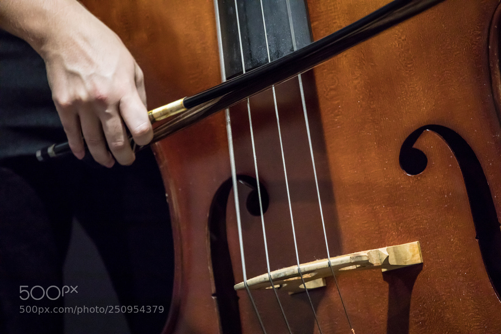 Canon EOS 5D Mark IV sample photo. Go photography