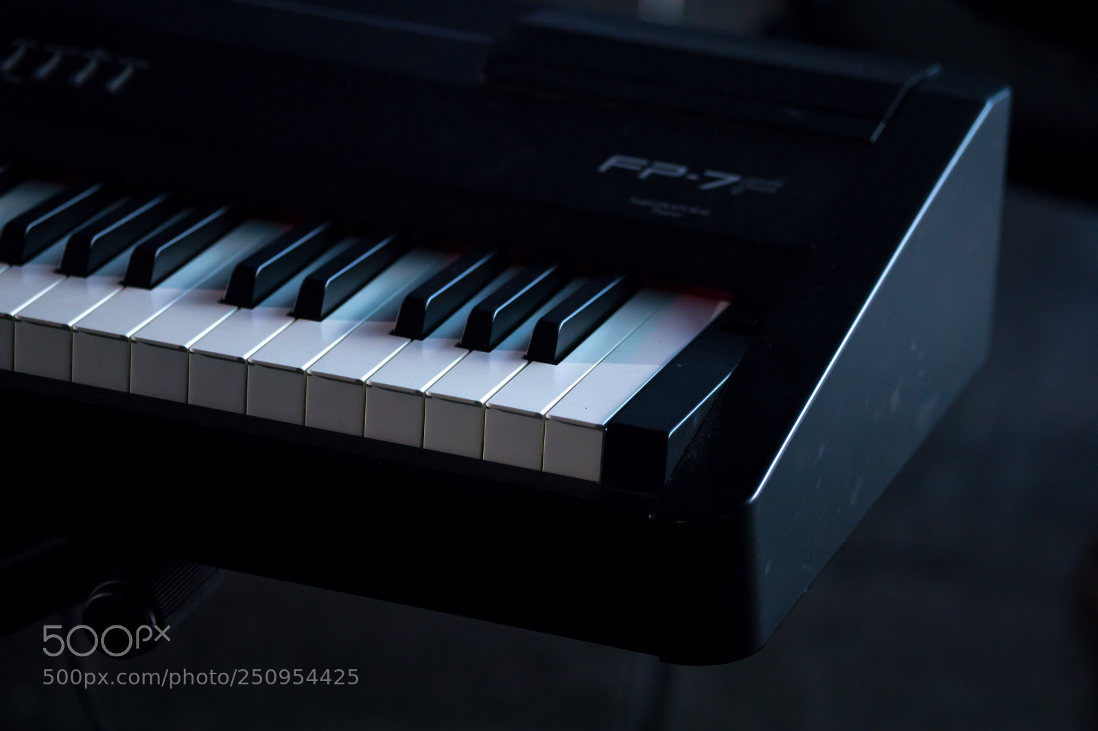 Canon EOS 5D Mark IV sample photo. Go photography