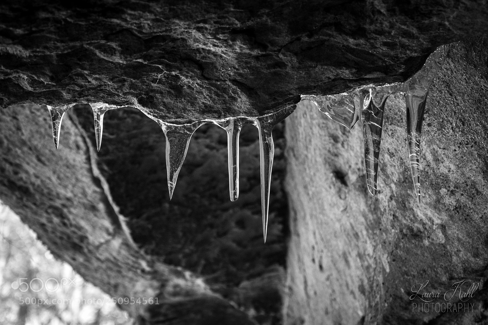 Nikon D7100 sample photo. Nature 006 photography