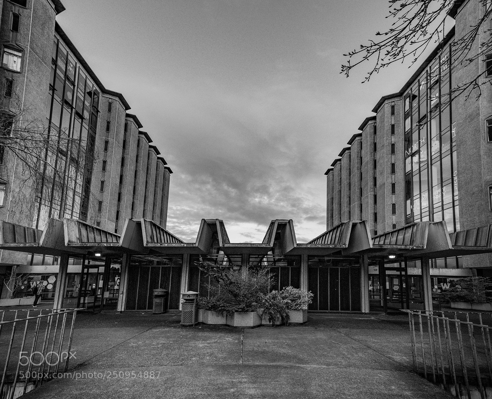 Sony a7R II sample photo. An entrance to infinity photography