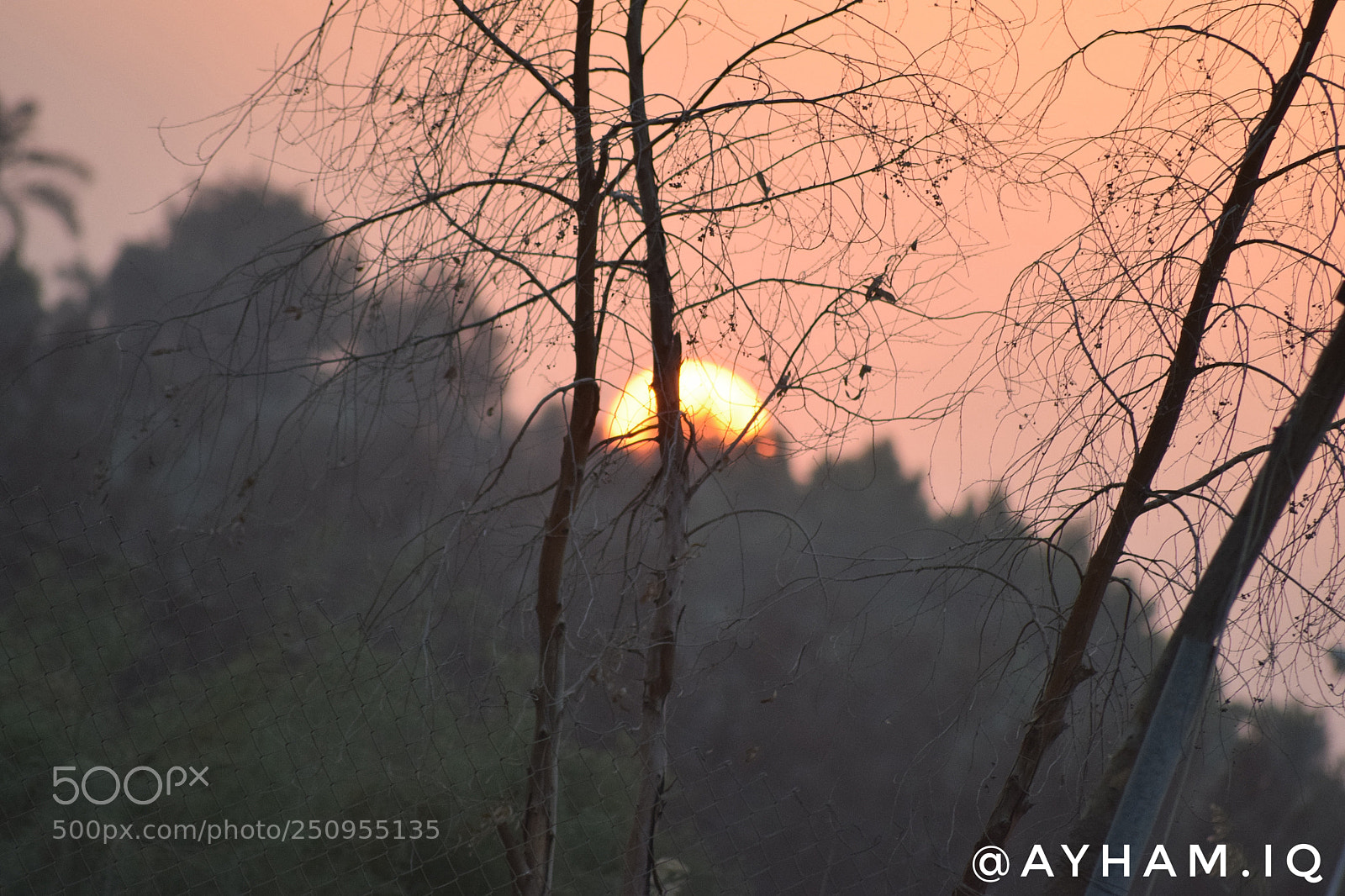 Nikon D3300 sample photo. Untitled photography