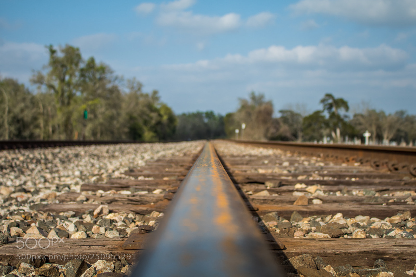 Canon EOS 80D sample photo. Rail tracks photography