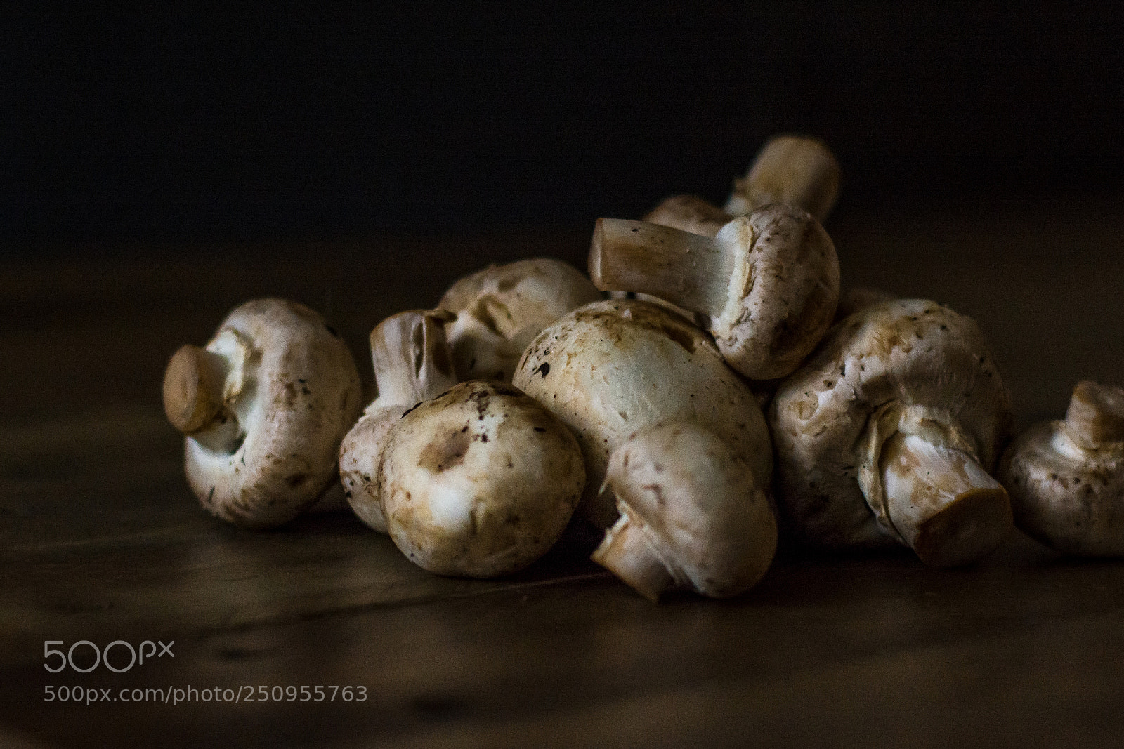Nikon D7100 sample photo. Mushrooms on a table photography