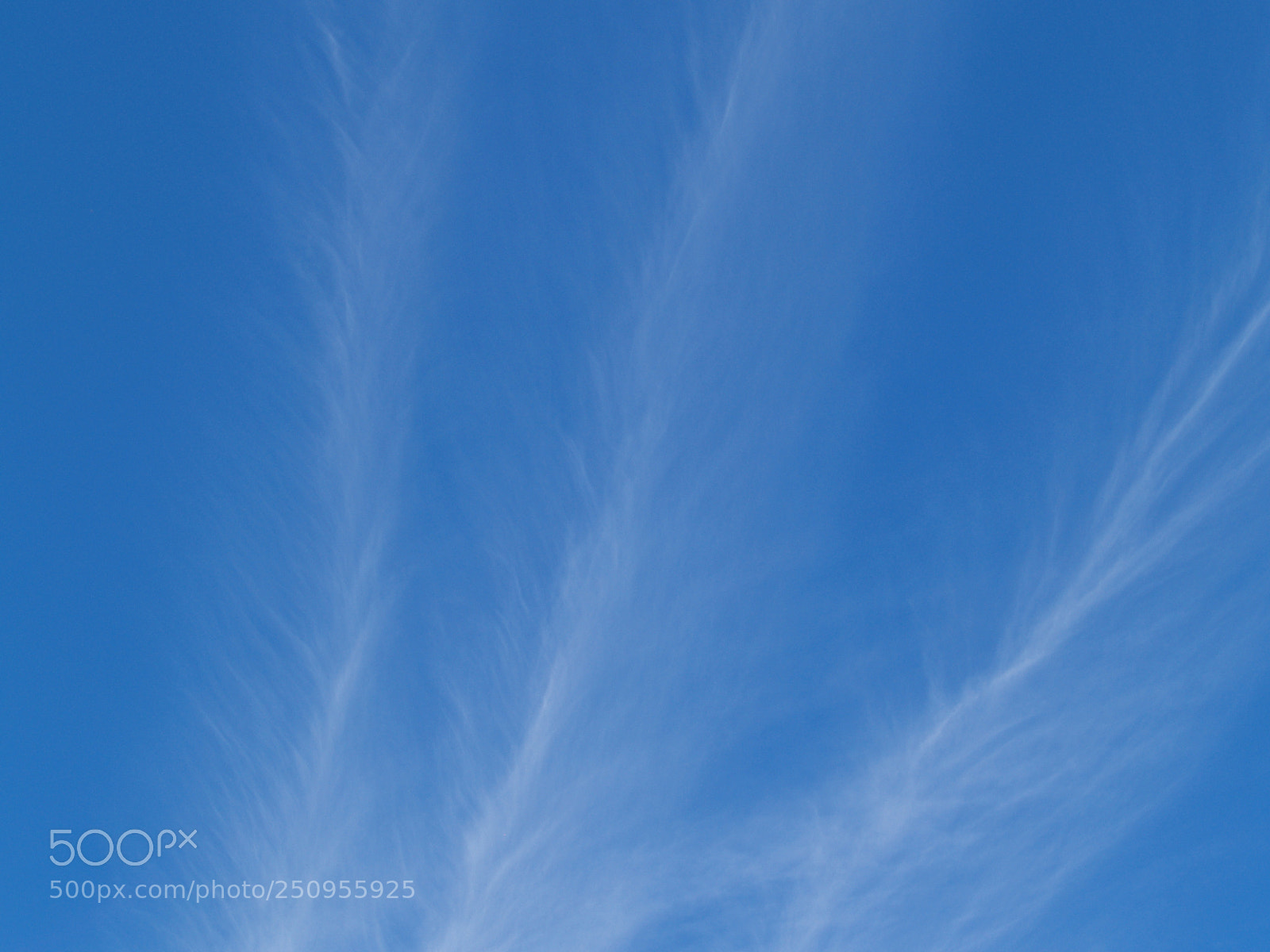 Olympus E-300 (EVOLT E-300) sample photo. Veiled sky photography
