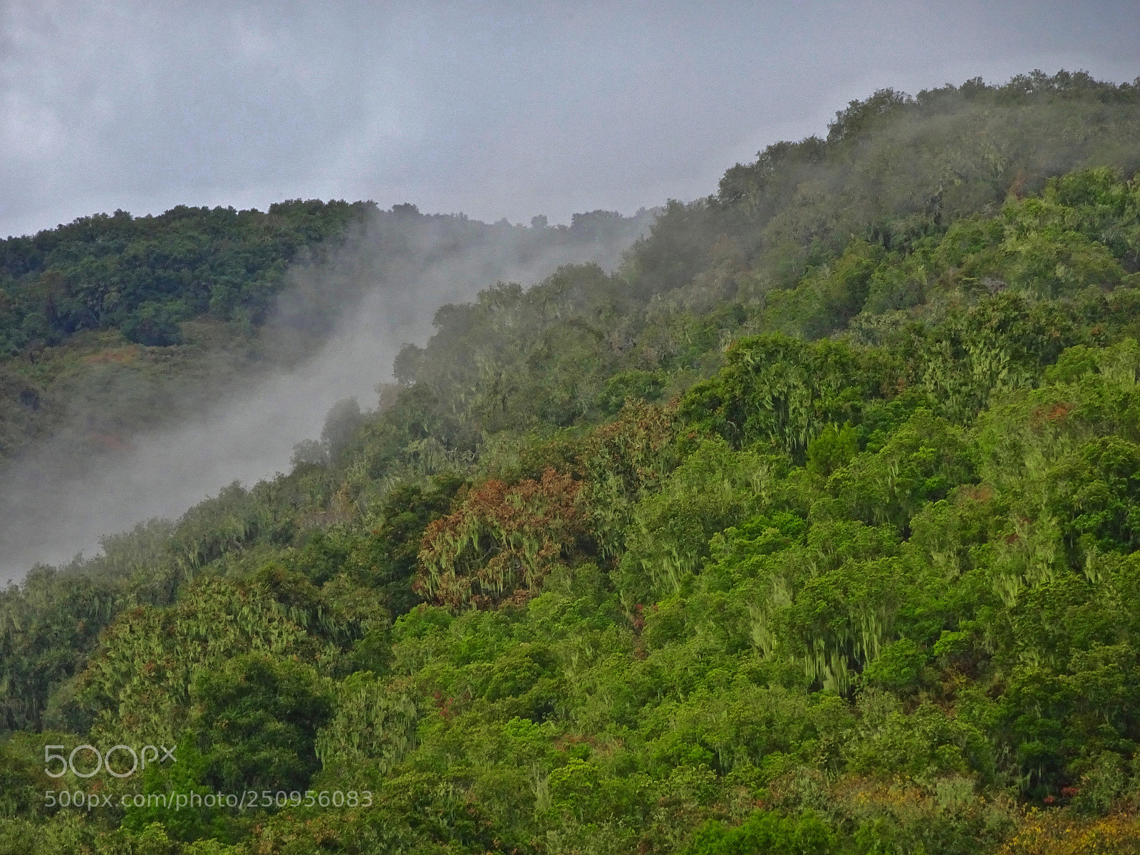 Sony Cyber-shot DSC-HX90V sample photo. Arch fog photography