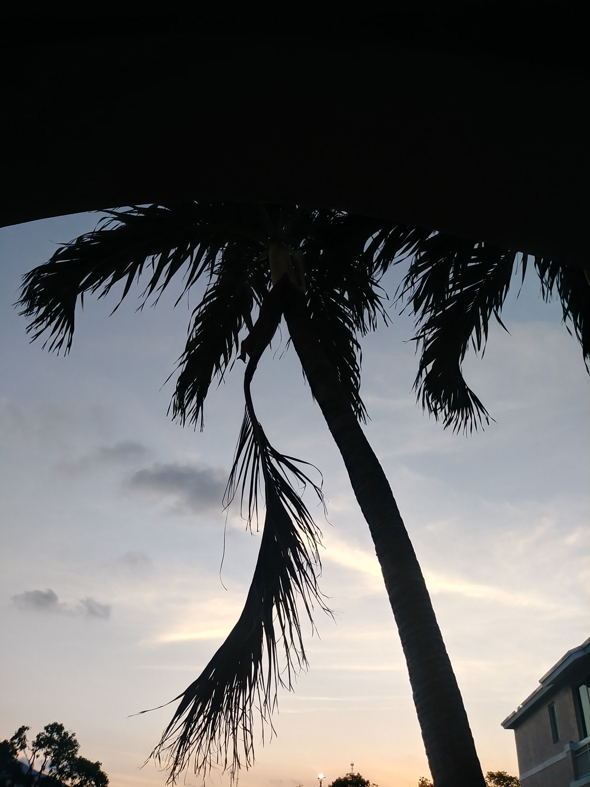 LG STYLO 3 PLUS sample photo. Sun going down photography
