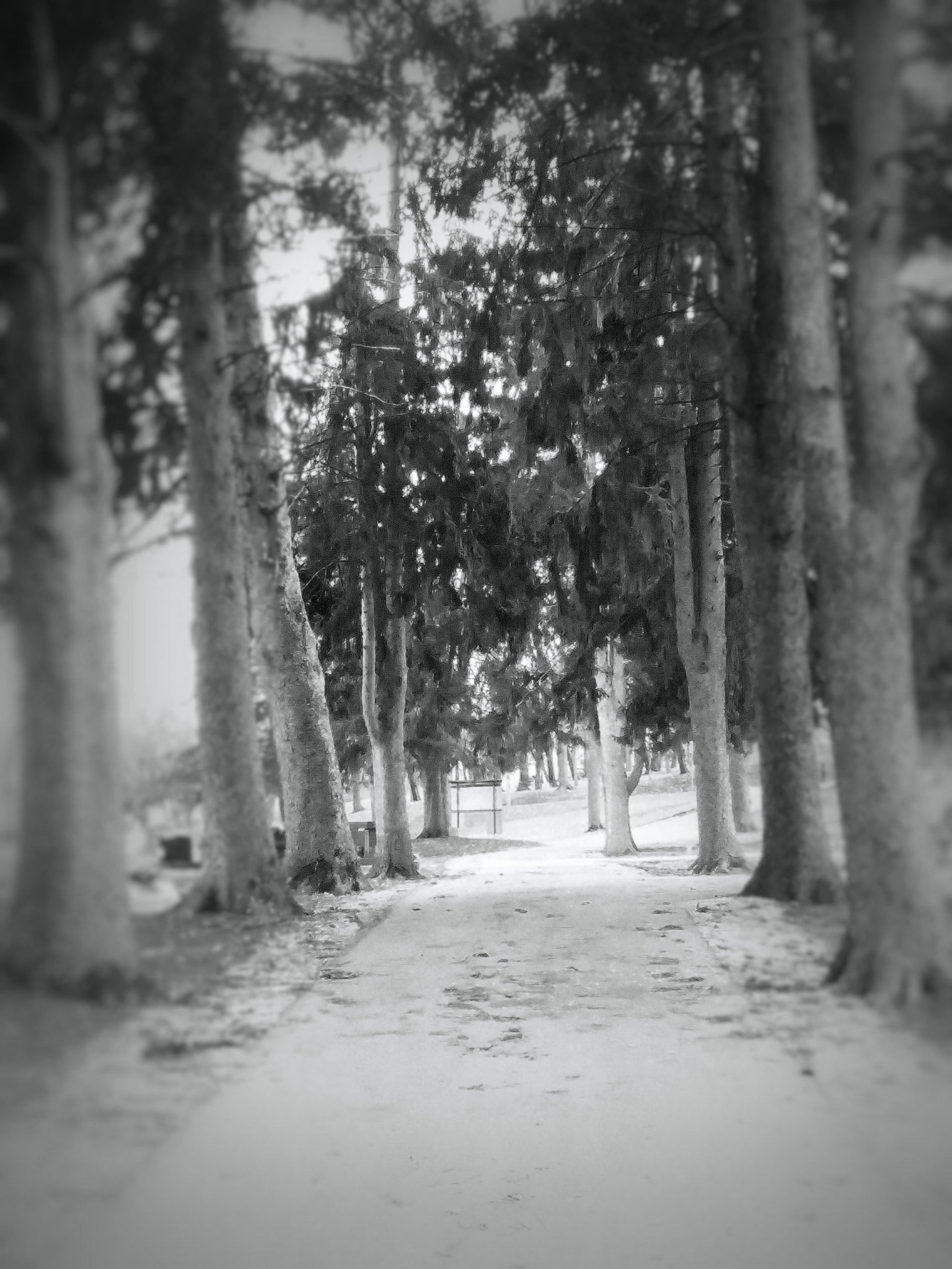 Samsung Galaxy J7 Pop sample photo