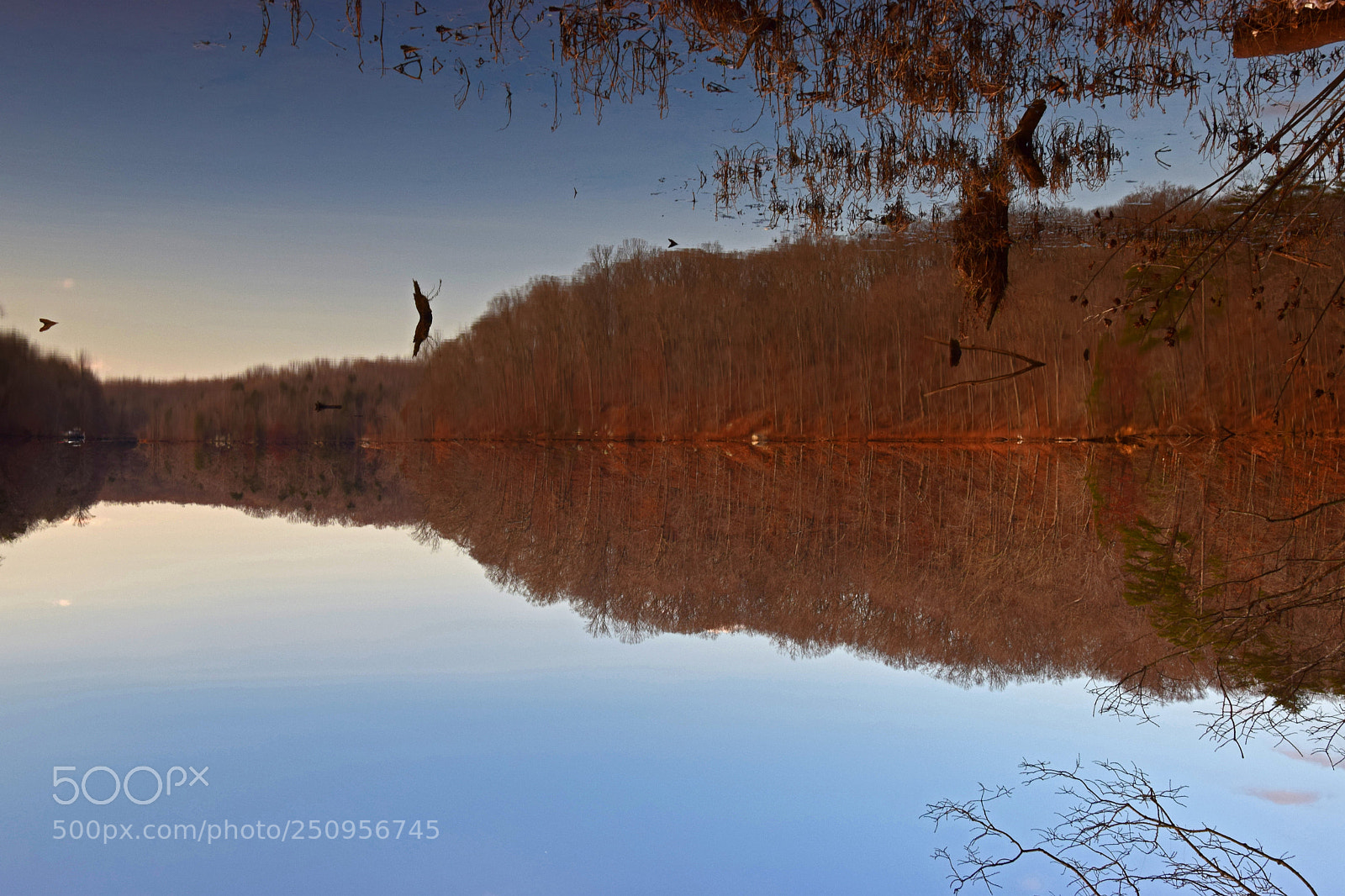 Nikon D5300 sample photo. Bull run reflections photography