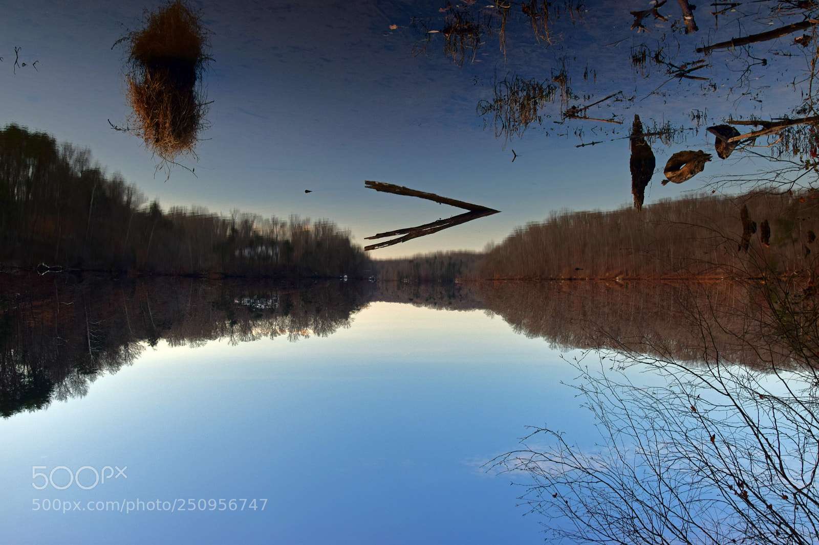 Nikon D5300 sample photo. Bull run reflections ii photography