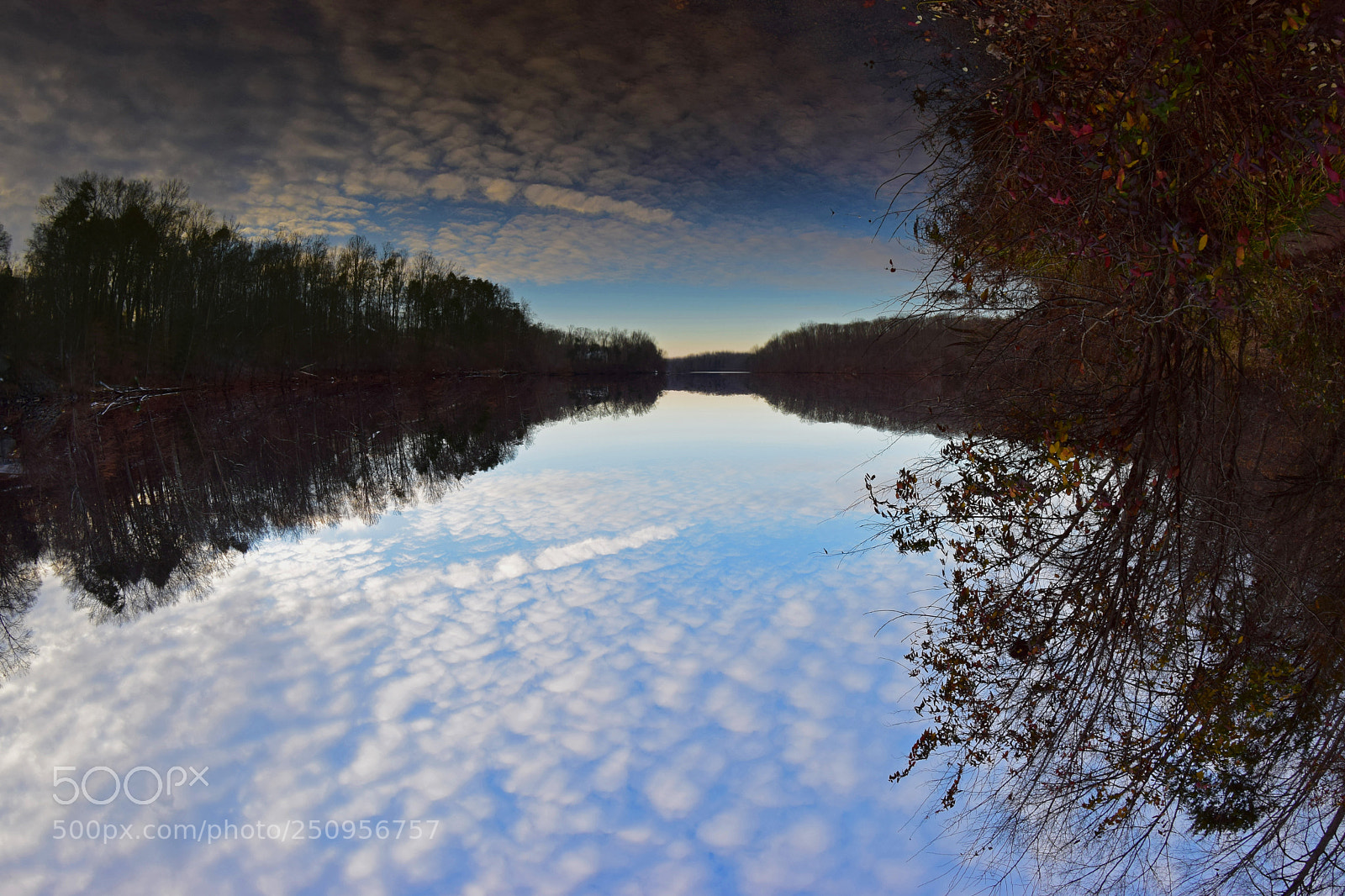 Nikon D5300 sample photo. Bull run reflections iv photography