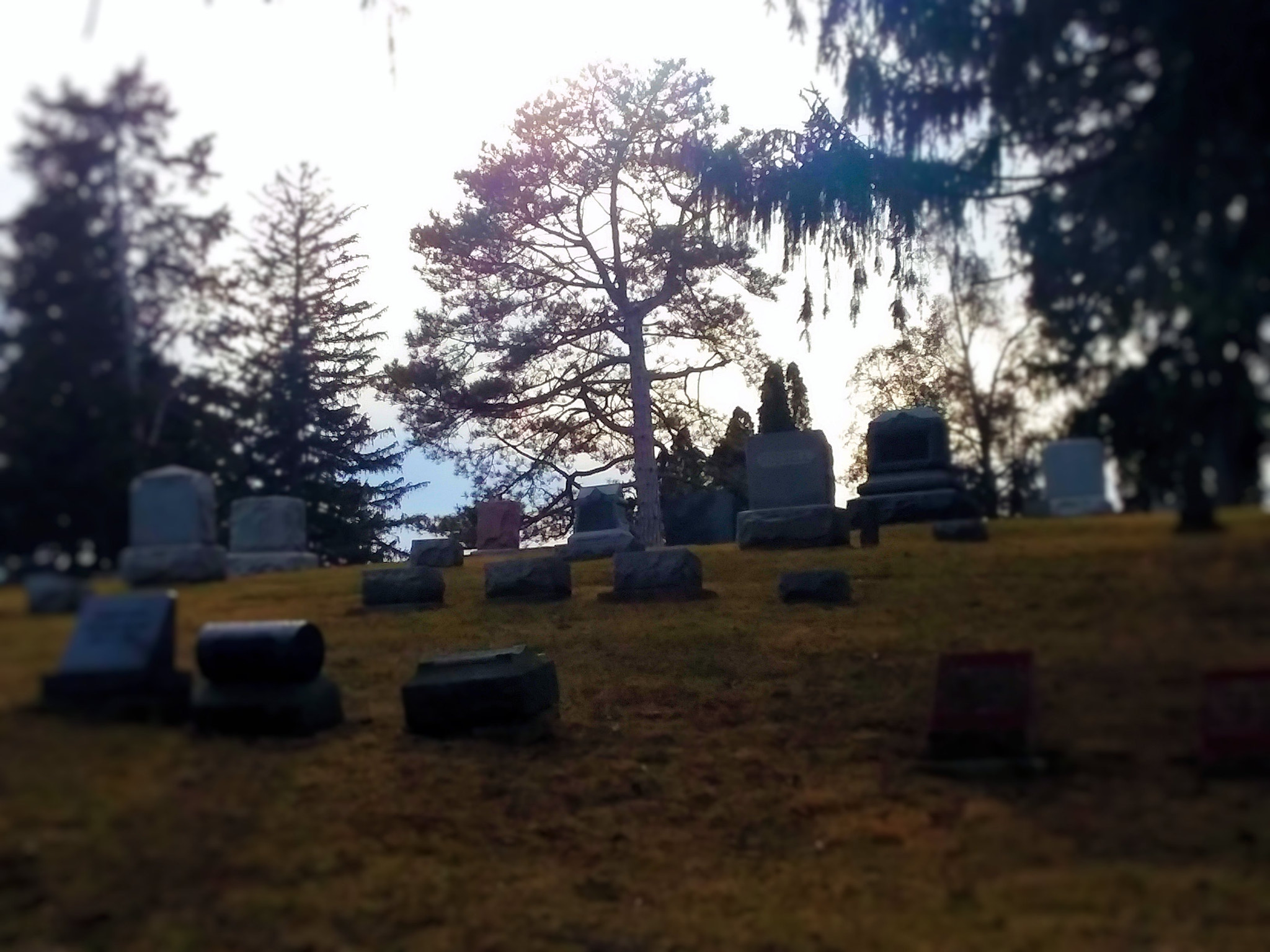 Samsung Galaxy J7 Pop sample photo