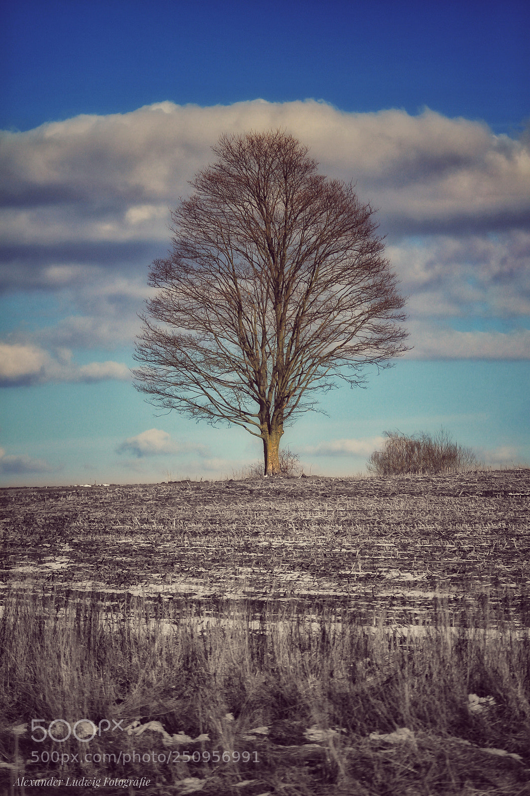 Canon EOS 7D sample photo. Untitled photography