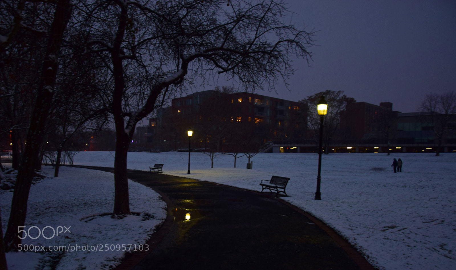 Nikon D5300 sample photo. Snowy sidewalk ii photography